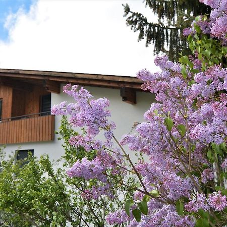 Appartamento Tgesa Zundregn Savognin Esterno foto